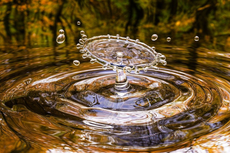 L’acqua è un bene prezioso per l’uomo e la natura